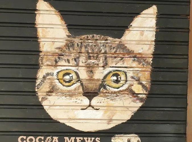 Cocoa Mews Cafe And Homestay