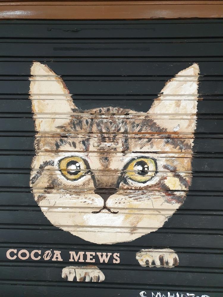 Cocoa Mews Cafe And 2*