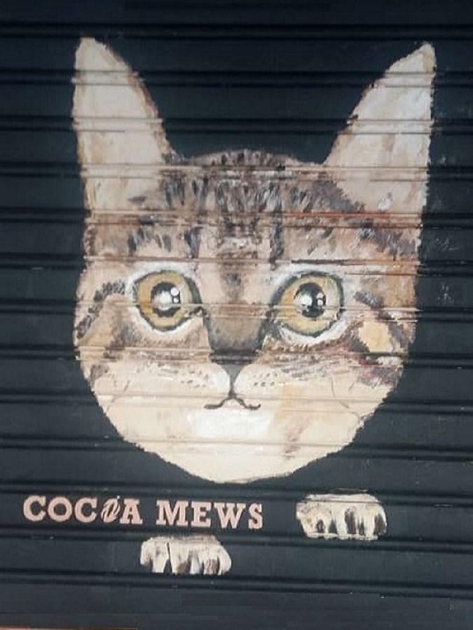 Cocoa Mews Cafe And Guest house 2*