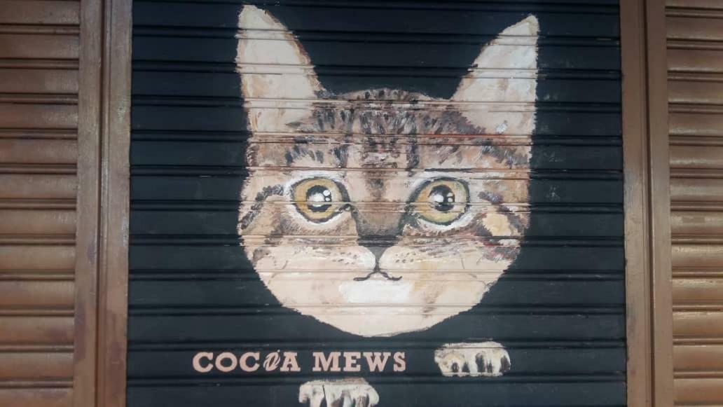 Cocoa Mews Cafe And